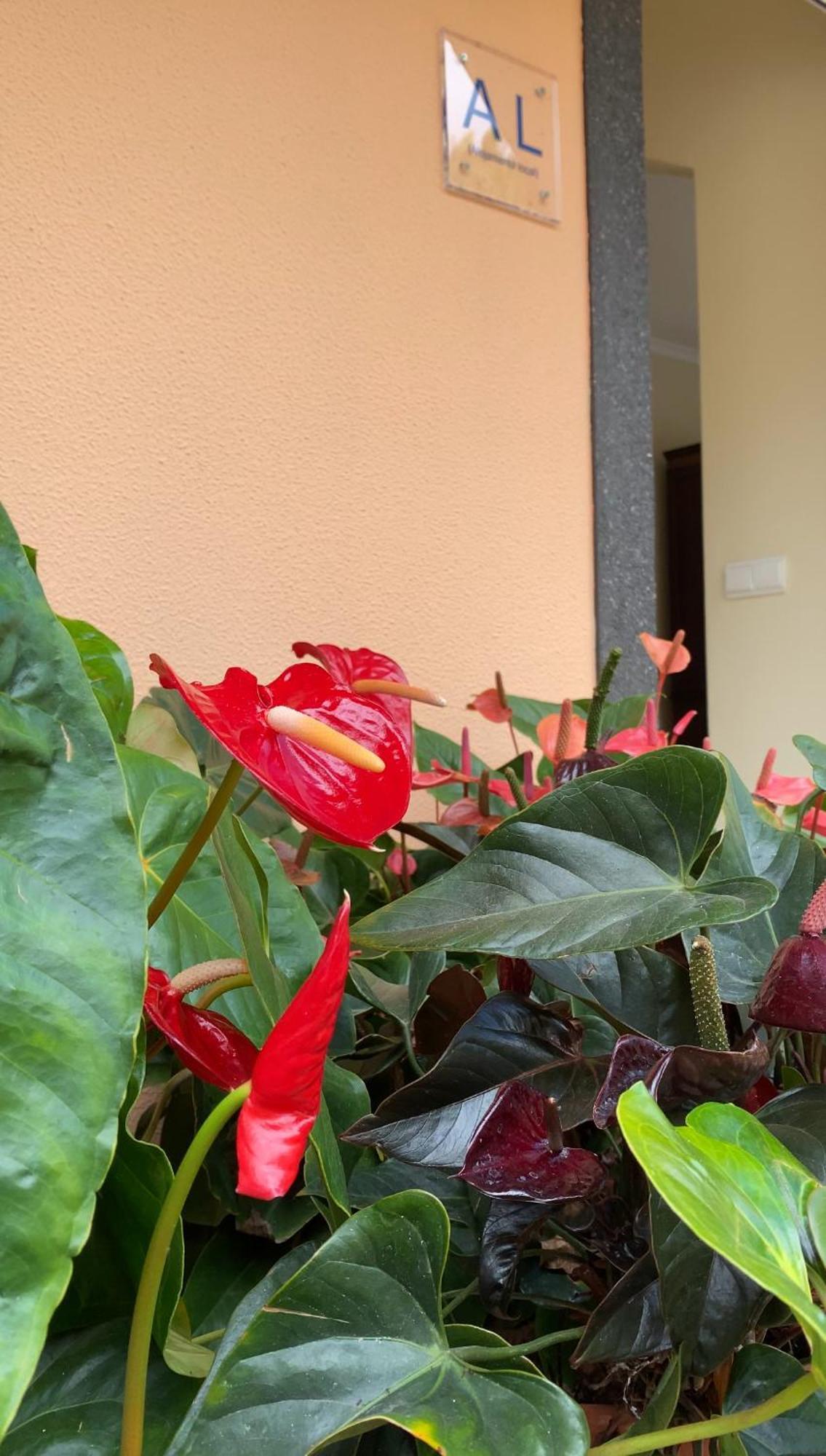 Pana House Apartman Calheta  Kültér fotó